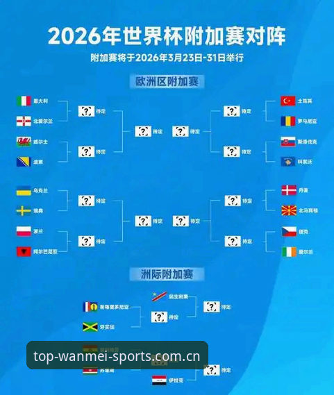 2026世界杯观赛体验全面评测：签证危机下的“冷场”风险深度分析